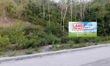 Most Affordable 270 Sqm Lot for Sale in Vista Verde Consolacion Cebu