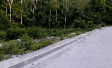 Most Affordable 270 Sqm Lot for Sale in Vista Verde Consolacion Cebu