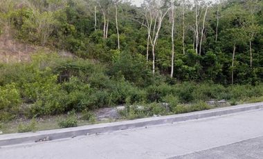 Most Affordable 270 Sqm Lot for Sale in Vista Verde Consolacion Cebu