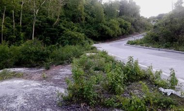 Most Affordable 270 Sqm Lot for Sale in Vista Verde Consolacion Cebu