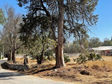 Terreno en Venta o Renta en Camino a Los Reyes, Atotonilco