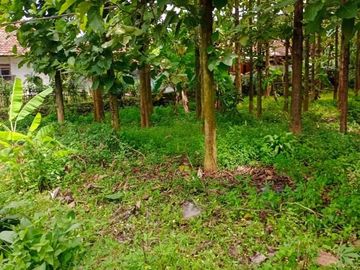 Tanah 1,5 Ha strategis pinggir jalan bonus pohon jabon di Purwakarta