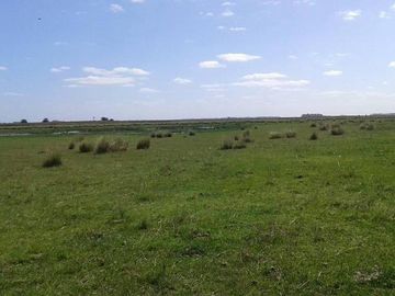 Campo en Capilla del Señor, Buenas Aires
