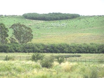 Campo en Capilla del Señor, Buenas Aires