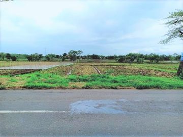 Jual tanah tepi Jl Raya Batujamus-Solo Karanganyar