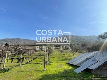 Gran Parcela en La Aurora, Curacaví