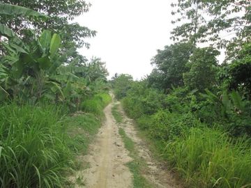 DIJUAL CEPAT LAHAN LUAS DI PINGGIR PANTAI TANGGAMUS LAMPUNG