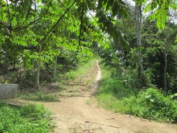DIJUAL CEPAT LAHAN LUAS DI PINGGIR PANTAI TANGGAMUS LAMPUNG