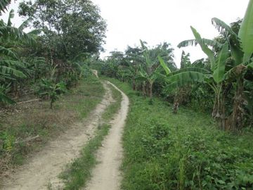DIJUAL CEPAT LAHAN LUAS DI PINGGIR PANTAI TANGGAMUS LAMPUNG