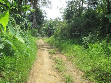 DIJUAL CEPAT LAHAN LUAS DI PINGGIR PANTAI TANGGAMUS LAMPUNG