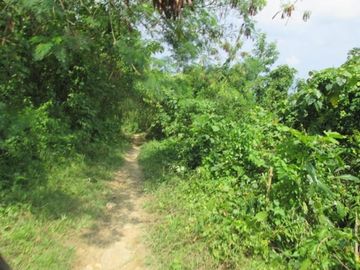 DIJUAL CEPAT LAHAN LUAS DI PINGGIR PANTAI TANGGAMUS LAMPUNG