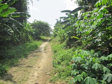DIJUAL CEPAT LAHAN LUAS DI PINGGIR PANTAI TANGGAMUS LAMPUNG