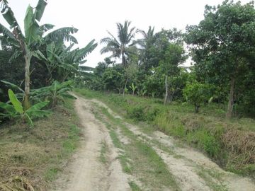 DIJUAL CEPAT LAHAN LUAS DI PINGGIR PANTAI TANGGAMUS LAMPUNG