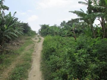 DIJUAL CEPAT LAHAN LUAS DI PINGGIR PANTAI TANGGAMUS LAMPUNG