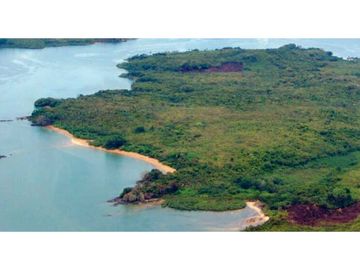 Se Venden 40 Hectáreas Isla Paradisiaca Archip Las Perlas USD30$xM2