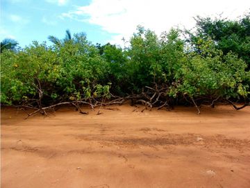 Se Venden 40 Hectáreas Isla Paradisiaca Archip Las Perlas USD30$xM2