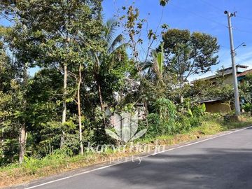 Tanah Kebun Durian Kemuning Karanganyar
