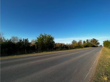 Vendo Campo de 4,6 hectáreas en Concepción del Uruguay, Entre Ríos.