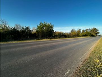 Vendo Campo de 4,6 hectáreas en Concepción del Uruguay, Entre Ríos.
