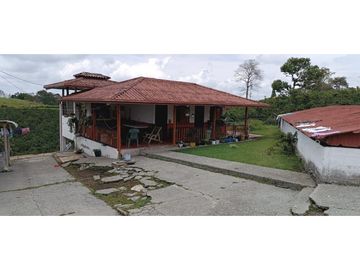 SE VENDE FINCA EN LA VIA CIRCASIA - MONTENEGRO