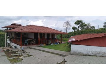 SE VENDE FINCA EN LA VIA CIRCASIA - MONTENEGRO