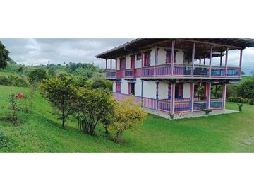 SE VENDE FINCA EN LA VIA CIRCASIA - MONTENEGRO