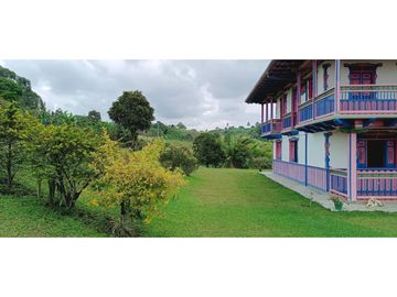 SE VENDE FINCA EN LA VIA CIRCASIA - MONTENEGRO