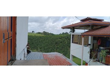 SE VENDE FINCA EN LA VIA CIRCASIA - MONTENEGRO