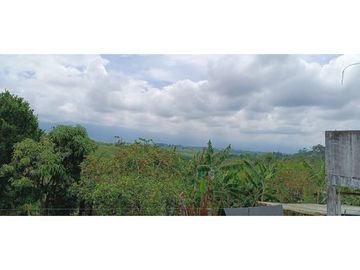SE VENDE FINCA EN LA VIA CIRCASIA - MONTENEGRO