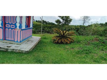 SE VENDE FINCA EN LA VIA CIRCASIA - MONTENEGRO
