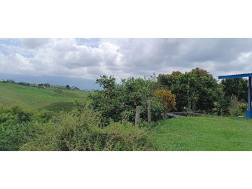 SE VENDE FINCA EN LA VIA CIRCASIA - MONTENEGRO