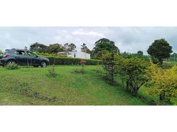 SE VENDE FINCA EN LA VIA CIRCASIA - MONTENEGRO