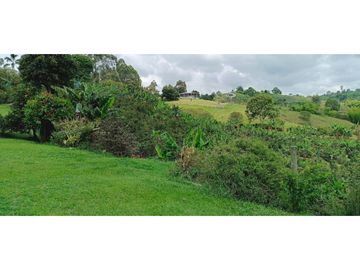 SE VENDE FINCA EN LA VIA CIRCASIA - MONTENEGRO