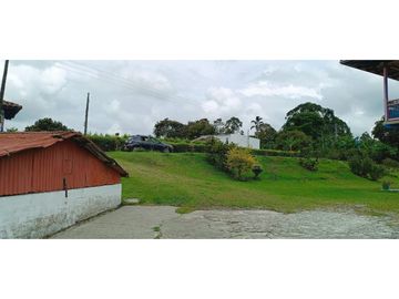 SE VENDE FINCA EN LA VIA CIRCASIA - MONTENEGRO
