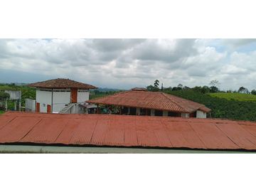 SE VENDE FINCA EN LA VIA CIRCASIA - MONTENEGRO