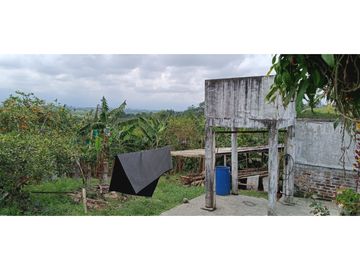 SE VENDE FINCA EN LA VIA CIRCASIA - MONTENEGRO