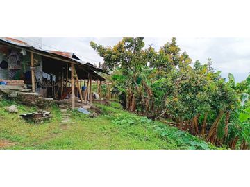 SE VENDE FINCA EN LA VIA CIRCASIA - MONTENEGRO