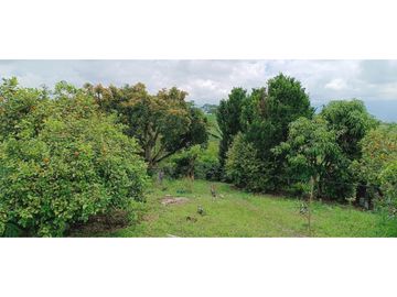 SE VENDE FINCA EN LA VIA CIRCASIA - MONTENEGRO