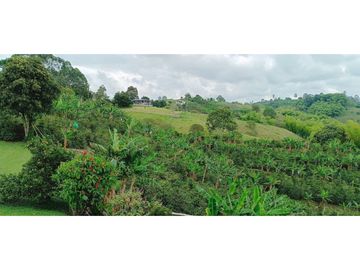 SE VENDE FINCA EN LA VIA CIRCASIA - MONTENEGRO