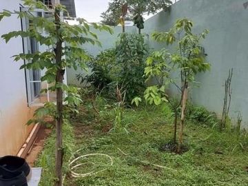 Dijual Rumah Menteng Village Paramount Gading Serpong Siap Huni Murah