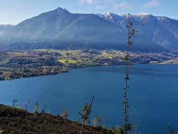 Espectacular Parcela De 3ha A Orilla De Lago Ranco En Futrono