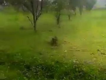 Tanah Luas daerah Subang Deket Ciater Kearah lembang bandung