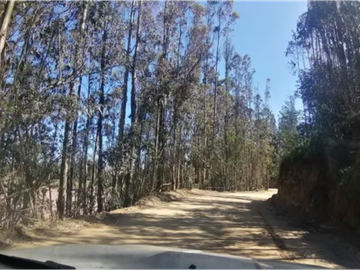 PLACILLA / PLACILLA ORIENTE / TERRENO 10.000 M2