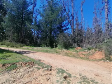 PLACILLA / PLACILLA ORIENTE / TERRENO 10.000 M2