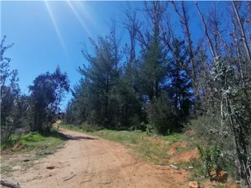PLACILLA / PLACILLA ORIENTE / TERRENO 10.000 M2