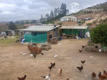 Parcela con Casa - 4500 UF - Casas Viejas - Quillota