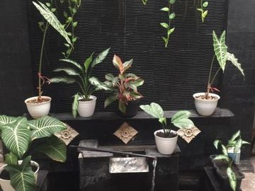 Rumah Keren 1 Lantai di Sawah Baru Ciputat 5775