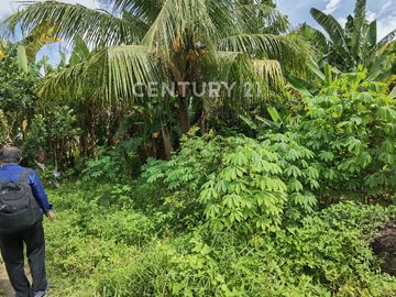 Dijual Tanah Murah Rejosari Tenayan Raya Pekanbaru