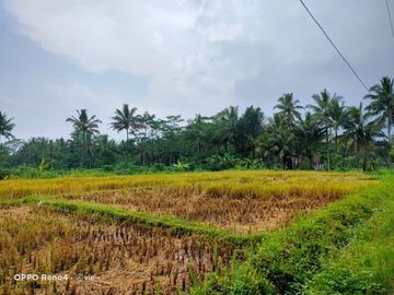 Dijual Tanah di Hargobinangun, Pakem: Cocok Untuk Villa
