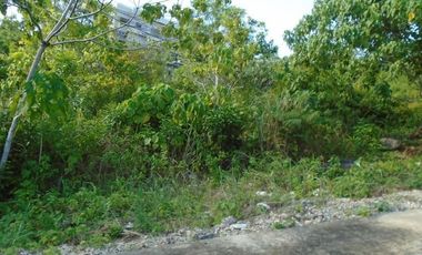 150 Sqm Lot for Sale in Vista Grande Talisay Cebu City